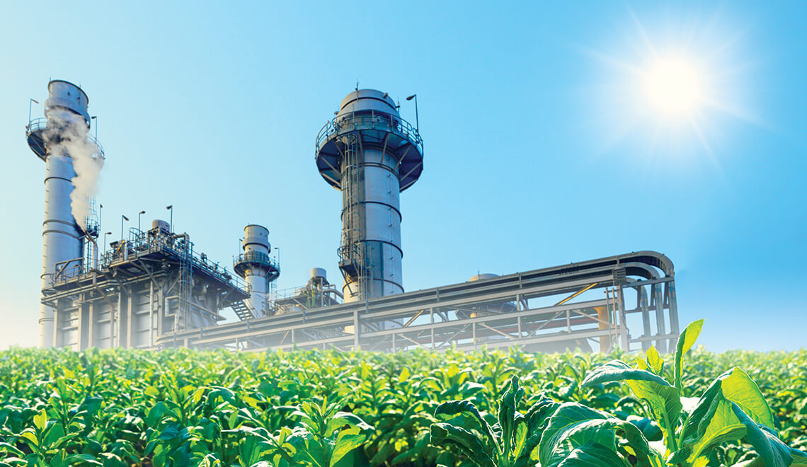 Green ammonia’s role in a net-zero economy